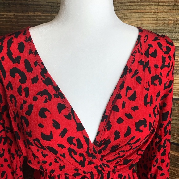 Red Hot Leopard Dress - Picture 2 of 6